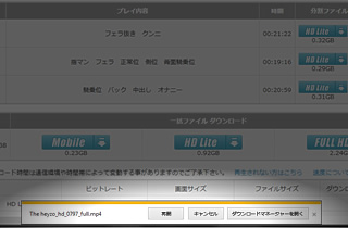 Internet Explorer の場合 イメージ
